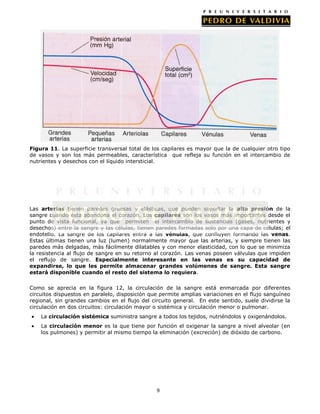 Figura 11. La superficie transversal total de los capilares es mayor que la de cualquier otro tipo
de vasos y son los más permeables, característica que refleja su función en el intercambio de
nutrientes y desechos con el líquido intersticial.




Las arterias tienen paredes gruesas y elásticas, que pueden soportar la alta presión de la
sangre cuando ésta abandona el corazón. Los capilares son los vasos más importantes desde el
punto de vista funcional, ya que permiten el intercambio de sustancias (gases, nutrientes y
desechos) entre la sangre y las células, tienen paredes formadas solo por una capa de células; el
endotelio. La sangre de los capilares entra a las vénulas, que confluyen formando las venas.
Estas últimas tienen una luz (lumen) normalmente mayor que las arterias, y siempre tienen las
paredes más delgadas, más fácilmente dilatables y con menor elasticidad, con lo que se minimiza
la resistencia al flujo de sangre en su retorno al corazón. Las venas poseen válvulas que impiden
el reflujo de sangre. Especialmente interesante en las venas es su capacidad de
expandirse, lo que les permite almacenar grandes volúmenes de sangre. Esta sangre
estará disponible cuando el resto del sistema lo requiera.

Como se aprecia en la figura 12, la circulación de la sangre está enmarcada por diferentes
circuitos dispuestos en paralelo, disposición que permite amplias variaciones en el flujo sanguíneo
regional, sin grandes cambios en el flujo del circuito general. En este sentido, suele dividirse la
circulación en dos circuitos: circulación mayor o sistémica y circulación menor o pulmonar.
    La circulación sistémica suministra sangre a todos los tejidos, nutriéndolos y oxigenándolos.
    La circulación menor es la que tiene por función el oxigenar la sangre a nivel alveolar (en
    los pulmones) y permitir al mismo tiempo la eliminación (excreción) de dióxido de carbono.




                                                9
 