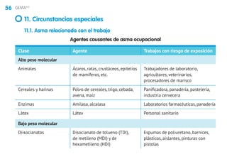 56 GEMA4.0
11. Circunstancias especiales
11.1. Asma relacionada con el trabajo
Agentes causantes de asma ocupacional
Clase	 Agente	 Trabajos con riesgo de exposición
Alto peso molecular
Animales	 Ácaros, ratas, crustáceos, epitelios	 Trabajadores de laboratorio,
	 de mamíferos, etc.	 agricultores, veterinarios, 		
		 procesadores de marisco
Cereales y harinas	 Polvo de cereales, trigo, cebada,	 Panificadora, panadería, pastelería,
	 avena, maíz 	 industria cervecera
Enzimas 	 Amilasa, alcalasa	 Laboratorios farmacéuticos, panadería
Látex	 Látex	 Personal sanitario
Bajo peso molecular
Diisocianatos	 Disocianato de tolueno (TDI),	 Espumas de poliuretano, barnices,
	 de metileno (MDI) y de	 plásticos, aislantes, pinturas con
	 hexametileno (HDI)	 pistolas
 