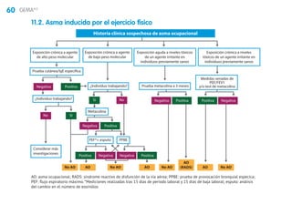 60 GEMA4.0
11.2. Asma inducida por el ejercicio físico
AO: asma ocupacional; RADS: síndrome reactivo de disfunción de la vía aérea; PPBE: prueba de provocación bronquial especíca;
PEF: flujo espiratorio máximo. *Mediciones realizadas tras 15 días de periodo laboral y 15 días de baja laboral; esputo: análisis
del cambio en el número de eosinólos
Exposición crónica a agente
de alto peso molecular
Exposición crónica a agente
de bajo peso molecular
Exposición aguda a niveles tóxicos
de un agente irritante en
individuos previamente sanos
Exposición crónica a niveles
tóxicos de un agente irritante en
individuos previamente sanos
Historia clínica sospechosa de asma ocupacional
Prueba cutánea/IgE específica
¿Individuo trabajando?
¿Individuo trabajando? Prueba metacolina a 3 meses
Metacolina
PEF*+ esputo PPBE
Considerar más
investigaciones
Negativa Positiva
Negativa Positiva
Negativa Positiva
Medidas seriadas de
PEF/FEV1
y/o test de metacolina
NegativaPositiva
NegativaPositiva
Negativa Positiva
No Sí
No AO No AO No AO No AOAO AO AO
AO
(RADS)
NoSí
 