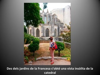 Des dels jardins de la Francesa s’obté una vista insòlita de la
                           catedral
 