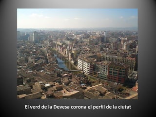 El verd de la Devesa corona el perfil de la ciutat
 