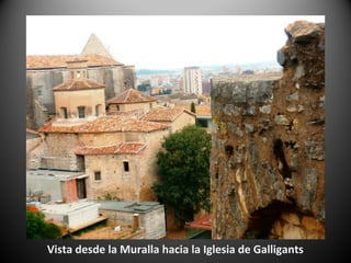 Vista desde la Muralla hacia la Iglesia de Galligants
 