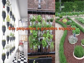 Em pequenos e grandes espaçosEm pequenos e grandes espaços
 