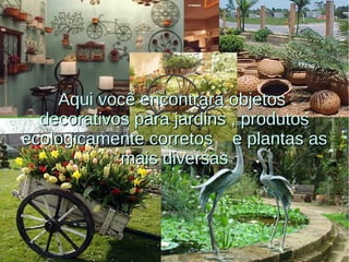 Aqui você encontrará objetosAqui você encontrará objetos
decorativos para jardins , produtosdecorativos para jardins , produtos
ecologicamente corretos e plantas asecologicamente corretos e plantas as
mais diversasmais diversas
 