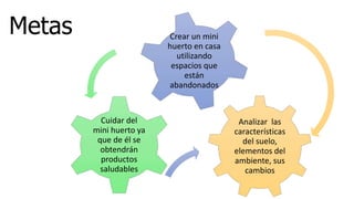 Metas
Analizar las
características
del suelo,
elementos del
ambiente, sus
cambios
Cuidar del
mini huerto ya
que de él se
obtendrán
productos
saludables
Crear un mini
huerto en casa
utilizando
espacios que
están
abandonados
 