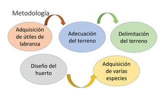 Metodología
Adquisición
de útiles de
labranza
Adecuación
del terreno
Delimitación
del terreno
Diseño del
huerto
Adquisición
de varias
especies
 