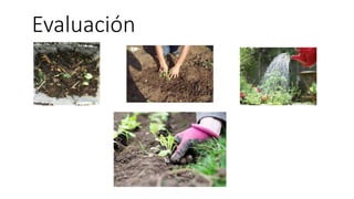 Evaluación
 