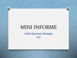 MINI INFORME
Sofía Quevedo Santiago
8-5
 