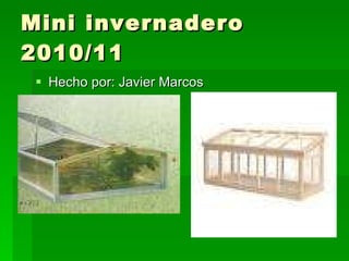 Mini invernadero 2010/11 ,[object Object]