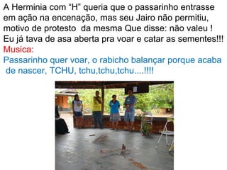 A Herminia com “H” queria que o passarinho entrasse em ação na encenação, mas seu Jairo não permitiu, motivo de protesto  da mesma Que disse: não valeu !  Eu já tava de asa aberta pra voar e catar as sementes!!! Musica:  Passarinho quer voar, o rabicho balançar porque acaba de nascer, TCHU, tchu,tchu,tchu....!!!! 