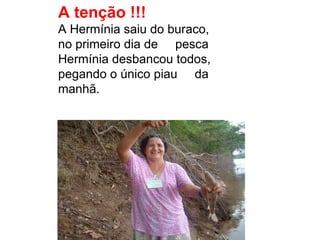 A tenção !!! A Hermínia saiu do buraco, no primeiro dia de  pesca  Hermínia desbancou todos,  pegando o único piau  da  manhã. 