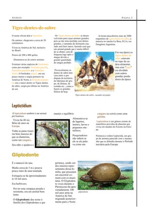 A N IM AI S                                                                                                          P ÁGIN A 3



Tigre-dentes-de-sabre
O nome oficial dele é Smilodon.             Os Tigres Dentes de Sabre se desen-             Já foram descobertos mais de 2000
                                          volveram para caçar animais grandes,           esqueletos de tigres dentes de sabre, a
Os caninos chegavam a cerca de 20         pois ao dar uma mordida com dentes             maioria no rancho La Brea, EUA e na
centímetros.                              grandes, o tamanho do ferimento cau-           Patagônia Argentina.
                                          sado será bem maior, fazendo com que
Viveu na América do Sul, inclusive
                                          um animal grande que é muito difícil
no Brasil.
                                          de se abater, caía de                                               Em sua época os
Pesava de 200 a 400 quilos.               fraqueza logo após o                                                tigres dentes de
                                          ataque devido a
 Alimentava-se de outros animais.
                                                                                                              sabre estavam
                                          grande quantidade
                                          de sangue perdido.
                                                                                                              no topo da ca-
Existiam várias espécies de Smilodons                                                                         deia alimentar,
como por exemplo: Smilodon gracilis,                                                                          mas esse "topo"
Smilodon populator e o Smilodon            Provavelmente os                                                   era dividido
fatalis. O Smilodon gracilis era um       dentes de sabre luta-                                               com outros
                                          vam entre si por                                                    grandes preda-
pouco menor e surgiu primeiro na
                                          disputa de território,
América do Norte, o Smilodon popula-                                                                          dores da época
                                          de liderança do gru-
tor era o maior dentre os Tigres dentes   po, de fêmeas, de
de sabre, surgiu por último na América    comida etc.., como o
do sul.                                   fazem os grandes
                                          felinos de hoje.
                                                                   Tigre-dentes-de-sabre caçando em grupo




Leptictidium
 O leptictidium também é um animal        manter o equilíbrio                             canguru ou corria como uma
pré histórico.                                                                            galinha.
                                                               Alimentava-se
 Viveu há 40 mi-                                                                          Leptictidium é um gênero extinto de
                                                               de lagartos,
lhões de anos na                                                                         mamíferos providos de placenta que
                                                               insetos, larvas e
Europa.                                                                                  viveu em meados do Eoceno na Euro-
                                                               pequenos ma-
                                                               míferos.                  pa.
Tinha as patas trasei-
ras bem maiores do
                                                               Pesquisadores             Pertencia à ordem Leptictida, um gru-
que as dianteiras,
                                                               não sabem se              po de animais parecido com o musara-
como um canguru..
                                                               ele se ele pula-          nho que se difundiu durante o Período
Seu rabo o ajudava a                                           va como um                terciário pela Europa



Gliptodonte
É o tataravô do tatu.                      pertence, sendo um
                                           dos maiores repre-
Media cerca de 3 m e pesava                sentantes dessa fa-
pouco mais de uma tonelada.                mília, que possuíam
Extinguiu-se há aproximadamen-             um ancestral co-
te 10 mil anos.                            mum com os atuais
                                           tatus. O Glyptodon-
Era herbívoro.                             te viveu durante o
                                           Pleistoceno há apro-
 Por ter uma carapaça pesada e             ximadamente 100
 resistente, era um animal bem             mil anos atrás na    gliptodonte
 lento.                                    América do Sul,
 O Glyptodonte deu nome à                  migrando posterior-
 família dos Gliptodontes a que            mente para o Norte.
 