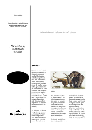 Email e endereço




Caio.toby@hotmail.com ou guidineli@hotmail.com
  Rua Odete moura pedrosa numero 87 ou sepé2
    condomínio mirante do vele rua 2 casa21B



                                                               Saiba mais de animais lendo este artigo, vocês irão gostar




      Para saber de
       animais leia
        “animais”




                                                 Mamute

                                                 O mamute é um animal
                                                 extinto que pertence ao
                                                 gênero Mammuthus, à
                                                 família Elephantidae
                                                 incluída nos proboscí-
                                                 deos. Tal como os ele-
                                                 fantes, estes animais
                                                 apresentavam tromba e
                                                 presas de marfim encur-
                                                 vadas, que podiam atin-
                                                 gir cinco metros de com-
                                                 primento, mas tinham o
                                                                               Mamute]
                                                 corpo coberto de pêlo.
                                                 Estes animais extingui-
                                                 ram-se há apenas 12000        ções climáticas do fim        mamutes em excelente
                                                 anos e foram muito co-        da Idade do Gelo. Des-        estado de conservação.
                                                 muns no Paleolítico,          cobertas mostram tam-         Esta descoberta permitiu
                                                 onde foram uma fonte          bém que o ser humano          fazer estudos genéticos e
                                                 importante de alimenta-       teve papel fundamental        averiguar que este gêne-
                                                 ção do homem da Pré-          sobre a extinção dos          ro é mais próximo do
                                                 história.                     Mamutes. A descoberta         elefante asiático
                                                                               mostra que o ser humano       (Elephas) que do africa-
                                                 Os mamutes viviam na          matou Mamutes para            no (Loxodonta). Actual-
                                                 Europa, norte da Ásia e       comida, vestimentos,          mente especula-se sobre
                                                                               ossos e couro para fabri-     a possibilidade de clonar
   Organização                                   América do Norte em
                                                                               cação de casas, etc.          o DNA destes fósseis e
                                                 climas temperados a
                                                 frios. Estes animais ex-                                    fazer reviver a espécie[1].
                                                 tinguiram-se provavel-        Na Sibéria descobriram-
                                                 mente devido às altera-       se restos congelados de
 