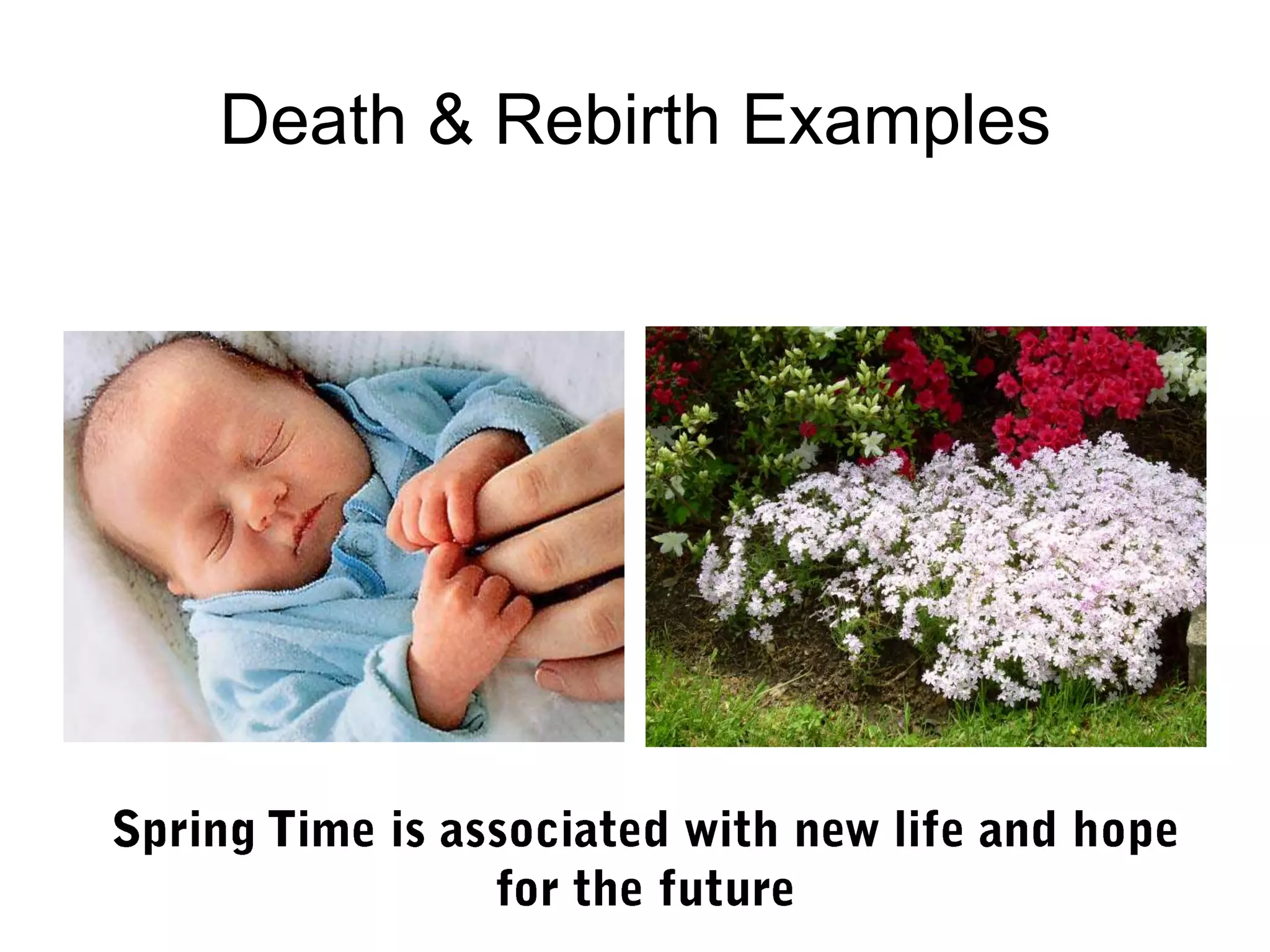 Death & Rebirth Examples
 