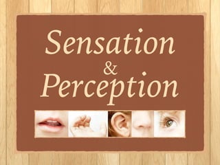 Sensation
Perception
&
 