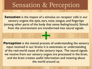 Sensation & Perception
Sensation is the impact of a stimulus on receptor cells in our
sensory organs: the eyes, ears, nose...