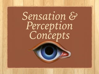 Sensation &
Perception
Concepts
 