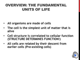 Cell Structure and Function | PPTX