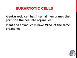 EUKARYOTIC CELLS
A eukaryotic cell has internal membranes that
partition the cell into organelles
Plant and animal cells have MOST of the same
organelles
 