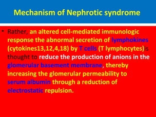 Mechanism of Nephrotic syndrome
• Rather, an altered cell-mediated immunologic
response the abnormal secretion of lymphokines
(cytokines13,12,4,18) by T cells (T lymphocytes)is
thought to reduce the production of anions in the
glomerular basement membrane, thereby
increasing the glomerular permeability to
serum albumin through a reduction of
electrostatic repulsion.
 