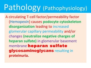 Pathology (Pathophysiology)
A circulating T-cell factor/permeability factor
(Hemopexin) causes podocyte cytoskeleton
disorganization leading to increased
glomerular capillary permeability and/or
changes (neutralize negative charges of
heparan sulfate) in glomerular basement
membrane heparan sulfate
glycosaminoglycans resulting in
proteinuria.
 