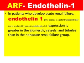 ARF- Endothelin-1
• In patients who develop acute renal failure,
endothelin 1 (This peptide is a potent vasoconstrictor
and is produced by vascular endothelial cells). expression is
greater in the glomeruli, vessels, and tubules
than in the nonacute renal failure group.
 