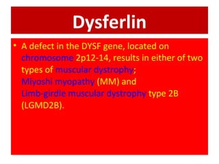 Dysferlin
• A defect in the DYSF gene, located on
chromosome 2p12-14, results in either of two
types of muscular dystrophy;
Miyoshi myopathy (MM) and
Limb-girdle muscular dystrophy type 2B
(LGMD2B).
 