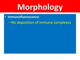 Morphology
• Immunofluorescence
–No deposition of immune complexes
 