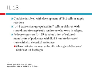 IL-13
 Cytokine involved with development ofTH2 cells in atopic
reactions
 IL-13 expression upregulated inT cells in children with
steroid sensitive nephrotic syndrome who were in relapse.
 Podocytes possess IL-13R & stimulation of cultured
monolayers of podocytes with IL-13 lead to decreased
transepithelial electrical resistance.
 Glucocorticoids can reverse this effect through stabilisation of
nephrin at slit diaphragm
Yap HK et al. JASN 10: p 529, 1999.
Van den Berg JG et al. JASN 11: p413, 2000.
 