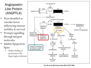 Tan M J et al. Mol Cancer Res 2012;10:677-688
Angiopoetin
Like Protein
(ANGPTL4)
• First identified as
vascular factor
influencing tumour
mobility & survival
• Prompts signalling
through integrin
molecules
• Inhibits lipoprotein
lipase
• Unifies finding of
proteinuria with
hypertriglyceridaemia
 