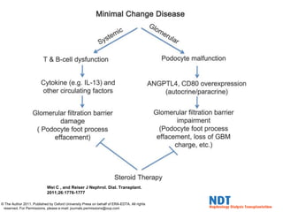 Wei C , and Reiser J Nephrol. Dial. Transplant.
2011;26:1776-1777
© The Author 2011. Published by Oxford University Press on behalf of ERA-EDTA. All rights
reserved. For Permissions, please e-mail: journals.permissions@oup.com
 