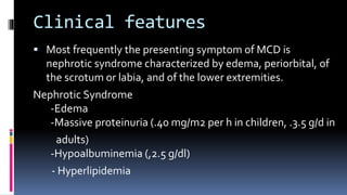Clinical features
 Most frequently the presenting symptom of MCD is
nephrotic syndrome characterized by edema, periorbital, of
the scrotum or labia, and of the lower extremities.
Nephrotic Syndrome
-Edema
-Massive proteinuria (.40 mg/m2 per h in children, .3.5 g/d in
adults)
-Hypoalbuminemia (,2.5 g/dl)
- Hyperlipidemia
 