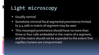 Light microscopy
 Usually normal
 Sometime minimal focal segmental prominence limited
to 3-4 cells in matrix of segment may be seen
 This mesangial prominence should have no more than
three or four cells embedded in the matrix of a segment,
and the matrix should not be expanded to the extent that
capillary lumens are compromised
 