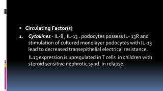  Circulating Factor(s)
1. Cytokines - IL-8 , IL-13 . podocytes possess IL- 13R and
stimulation of cultured monolayer podocytes with IL-13
lead to decreased transepithelial electrical resistance.
IL13 expression is upregulated inT cells in children with
steroid sensitive nephrotic synd. in relapse.
 
