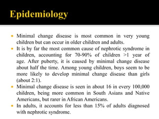  Minimal change disease is most common in very young
children but can occur in older children and adults.
 It is by far the most common cause of nephrotic syndrome in
children, accounting for 70-90% of children >1 year of
age. After puberty, it is caused by minimal change disease
about half the time. Among young children, boys seem to be
more likely to develop minimal change disease than girls
(about 2:1).
 Minimal change disease is seen in about 16 in every 100,000
children, being more common in South Asians and Native
Americans, but rarer in African Americans.
 In adults, it accounts for less than 15% of adults diagnosed
with nephrotic syndrome.
 