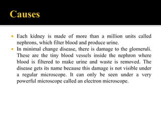  Each kidney is made of more than a million units called
nephrons, which filter blood and produce urine.
 In minimal change disease, there is damage to the glomeruli.
These are the tiny blood vessels inside the nephron where
blood is filtered to make urine and waste is removed. The
disease gets its name because this damage is not visible under
a regular microscope. It can only be seen under a very
powerful microscope called an electron microscope.
 