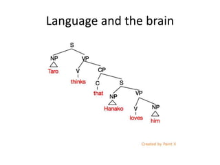 Language and the brain
 