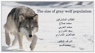 ‫المشاركين‬ ‫الطالب‬
‫صالح‬ ‫محمد‬
‫الحربي‬ ‫محمد‬
‫الشراري‬ ‫سعد‬
‫الشراري‬ ‫عبدالعزيز‬
‫الدكتور‬ ‫اشراف‬
‫السيد‬ ‫محمد‬
The size of gray-wolf population
 