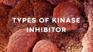 Kinase inhibitors in cancer treatment.pptx