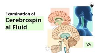 Comprehensive Guide to Cerebrospinal Fluid Examination and Analysis in ...
