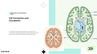 Comprehensive Guide to Cerebrospinal Fluid Examination and Analysis in ...