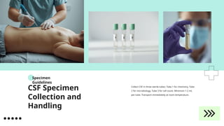 Comprehensive Guide to Cerebrospinal Fluid Examination and Analysis in ...