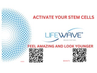BRAND PARTNER
ACTIVATE YOUR STEM CELLS
FEEL AMAZING AND LOOK YOUNGER
VIDEO WEBSITE
 