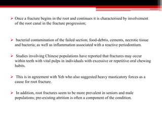  Once a fracture begins in the root and continues it is characterised by involvement
of the root canal in the fracture progression;
 bacterial contamination of the failed section; food-debris, cements, necrotic tissue
and bacteria; as well as inflammation associated with a reactive periodontium.
 Studies involving Chinese populations have reported that fractures may occur
within teeth with vital pulps in individuals with excessive or repetitive oral chewing
habits.
 This is in agreement with Yeh who also suggested heavy masticatory forces as a
cause for root fracture.
 In addition, root fractures seem to be more prevalent in seniors and male
populations; pre-existing attrition is often a component of the condition.
 