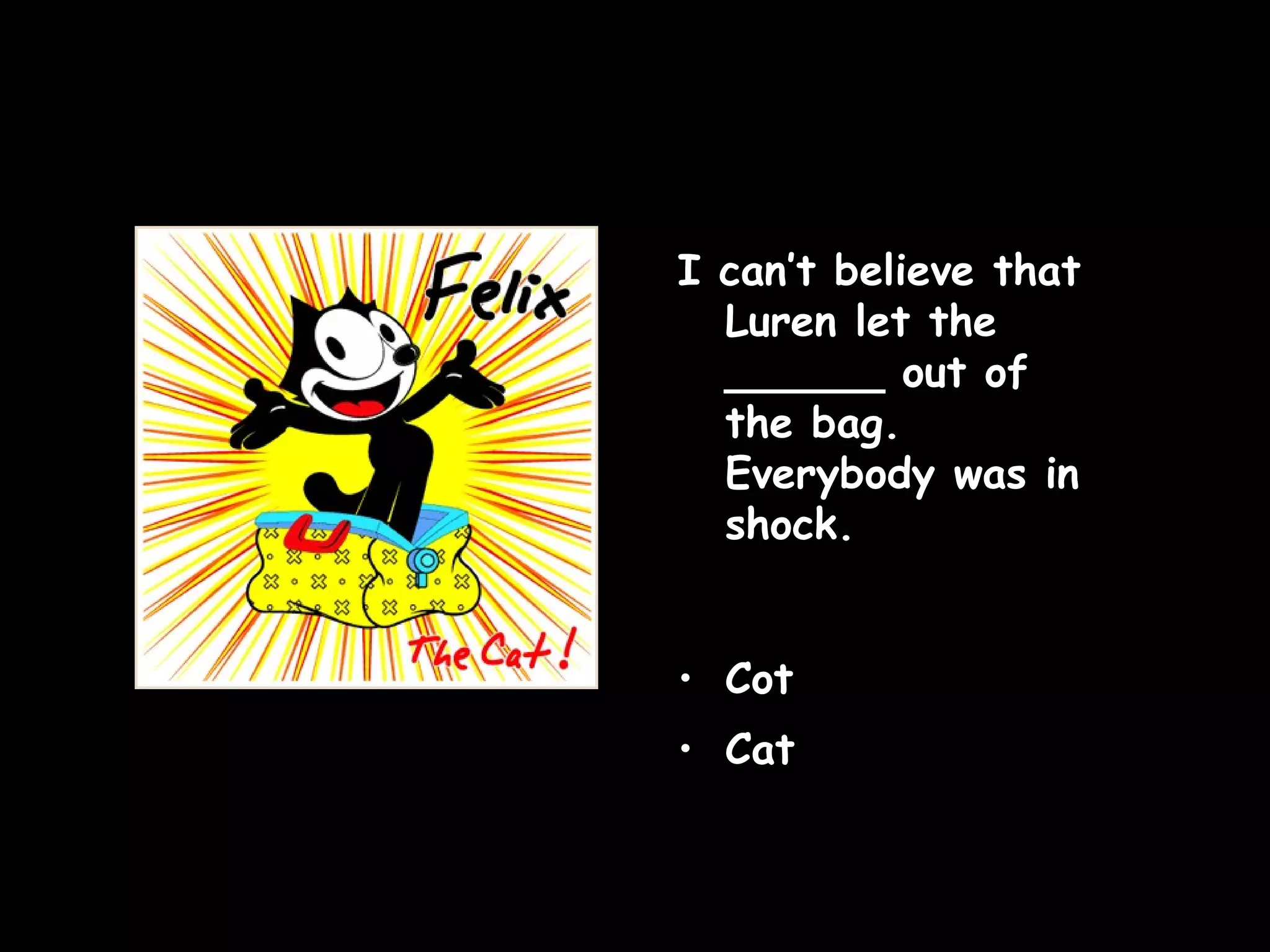 I can’t believe that Luren let the ______ out of the bag. Everybody was in shock. Cot Cat   