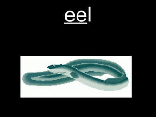 ee l 