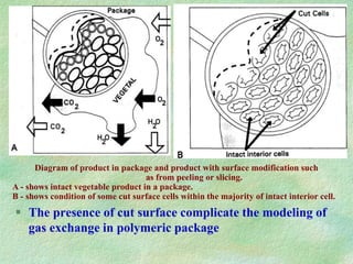  The presence of cut surface complicate the modeling of
gas exchange in polymeric package
Diagram of product in package and product with surface modification such
as from peeling or slicing.
A - shows intact vegetable product in a package.
B - shows condition of some cut surface cells within the majority of intact interior cell.
 