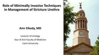 Role of Minimally Invasive Techniques
in Management of Stricture Urethra
Amr Elkady, MD
Lecturer of Urology
Kasr Al Aini Faculty of Medicine
Cairo University
 
