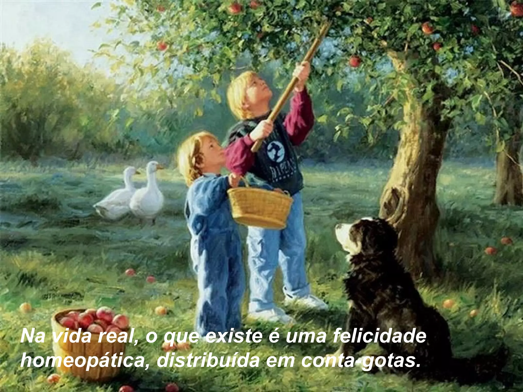 Na vida real, o que existe é uma felicidade
homeopática, distribuída em conta-gotas.
 