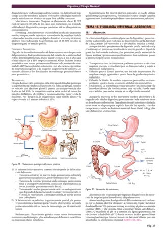 Digestivo y Cirugía General

diagnóstico por endoscopia puede mejorarse con la tinción de rojo           Quimioterapia. En cáncer gástrico avanzado se puede utilizar
congo-azul de metileno, aunque el estudio radiológico también           quimioterapia preoperatoria, rescatándose para cirugía curativa
puede ser eﬁcaz con técnicas de capa ﬁna y doble contraste.             algunos casos. También puede darse como tratamiento paliativo.
    Marcadores tumorales. Ninguno es claramente eﬁcaz. El CEA
está elevado en 40-50% de los casos con metástasis, no teniendo
utilidad en el diagnóstico, aunque puede ser útil en el seguimiento     TEMA 18. FISIOLOGÍA INTESTINAL. ABSORCIÓN.
postoperatorio.
    Screening. Actualmente no se considera justiﬁcado en nuestro        18.1. Absorción.
medio, aunque puede estarlo en zonas donde la prevalencia de la
enfermedad es alta, como en Japón, donde el screening de cáncer         En el intestino delgado continúa el proceso de digestión, y posterior-
gástrico con endoscopia ha permitido que el 40-60% de ellos se          mente la absorción, que es el paso de los productos de la digestión
diagnostiquen en estadio precoz.                                        de la luz, a través del enterocito, a la circulación linfática o portal.
                                                                            Aunque iniciada previamente la digestión por la cavidad oral y
ESTADIAJE Y PRONÓSTICO.                                                 el estómago, el páncreas exocrino tiene mayor papel en digerir la
El grado de invasión tumoral es el determinante más importante          grasa, los hidratos de carbono y las proteínas por la secreción de
del pronóstico. Independientemente del estadio de la enfermedad,        lipasa, amilasa y proteasas respectivamente. Los nutrientes pasan
el tipo intestinal tiene una mejor supervivencia a los 5 años que       al enterocito por varios mecanismos:
el tipo difuso (26 y 16% respectivamente). Otros factores de mal
pronóstico son: tumor pobremente diferenciado, contenido anor-          •   Transporte activo. Activo contra gradiente químico o eléctrico,
mal de ADN (aneuploidia), o tumores con alteraciones genéticas              requiere energía, es mediado por un transportador y sujeto a
de los protooncogenes o de los genes supresores de tumores. Los             inhibición competitiva.
tumores difusos y los localizados en estómago proximal tienen           •   Difusión pasiva. Con el anterior, son los más importantes. No
peor pronóstico.                                                            requiere energía y permite el paso a favor de gradiente químico
                                                                            o eléctrico.
TRATAMIENTO.                                                            •   Difusión facilitada. Es similar a la anterior, pero utiliza un trans-
Cirugía. La resección quirúrgica es la única posibilidad de prolongar       portador, y por lo tanto se somete a inhibición competitiva.
la supervivencia e incluso de curación. Se habla de cirugía curativa    •   Endocitosis. La membrana celular envuelve una sustancia y la
en relación con el cáncer gástrico precoz cuya supervivencia a los          introduce dentro de la célula como una vacuola. Puede verse
5 años es del 95%. La resección curativa debe incluir el tumor, los         en el adulto, pero sobre todo se ve en el período neonatal.
ganglios linfáticos, el epiplón y, ocasionalmente, bazo y cola de
páncreas. Por desgracia, el diagnóstico sigue siendo tardío y la            Aunque la mayoría de los nutrientes pueden absorberse a lo
supervivencia a 5 años es inferior al 15%.                              largo de todo el tubo digestivo, generalmente cada nutriente tiene
                                                                        un área de mayor absorción. Cuando un área del intestino es dañada,
                                                                        otras áreas se adaptan para suplir la función de aquella. Hay dos
                                                                        excepciones: cuando se lesiona o reseca el íleon distal, la B12 y las
                                                                        sales biliares no se absorben.




Figura 22. Tratamiento quirúrgico del cáncer gástrico.

1) Si la intención es curativa, la resección depende de la localiza-
   ción del tumor:
   - Tumores antrales y de cuerpo bajo, gastrectomía subtotal y
        gastroenteroanastomosis, preferiblemente en Y-Roux.
   - Tumores de la mitad proximal del estómago, gastrectomía
        total y esofagoyeyunostomía, junto con esplenectomía (a
        veces, también pancreatectomía distal).
   - Tumores del cardias, gastrectomía total con esofaguectomía         Figura 23. Absorción de nutrientes.
        que depende de la afectación del esófago y reconstrucción en
        Y-Roux. Si es necesaria la esofaguectomía, se puede asociar         A continuación se analizan por separado los procesos de absor-
        una coloplastia.                                                ción de los principios inmediatos y oligoelementos:
2) Si la intención es paliativa, la gastrectomía parcial y la gastro-       Absorción de grasas. La digestión de TG comienza en el estóma-
   yeyunostomía se realizan para evitar la obstrucción, siendo la       go por las lipasas gástrica y lingual. La entrada de grasas y ácidos al
   primera también útil en casos de hemorragia por úlceración del       duodeno libera CCK-pancreocimina y secretina y el páncreas secreta
   tumor.                                                               enzimas y HCO3- y la vesícula biliar se contrae y libera sales biliares.
                                                                        El HCO3- mantiene el pH >4 y permite a la lipasa pancreática ser
    Radioterapia. El carcinoma gástrico es un tumor básicamente         efectiva en la hidrólisis de TG hasta alcanzar ácidos grasos libres
resistente a radioterapia, y los estudios que deﬁenden esta última      y monoglicéridos que interaccionan con las sales biliares para ser
no muestran claros beneﬁcios.                                           absorbidos en el intestino proximal (MIR 01-02, 224).

                                                                                                                                        Pág. 37
 